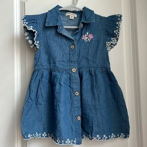 Girl’s 4T Ruffle Sleeve Dress With Floral Embroidery